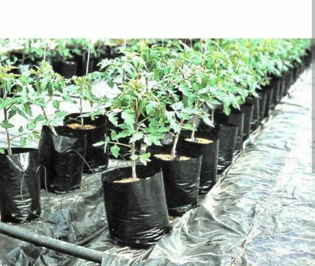 NURSERY BAG